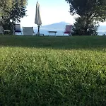 Li Schisani *