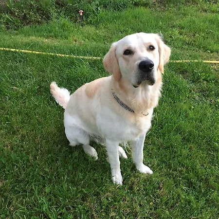 Li Schisani Tatil Evi